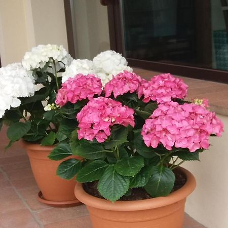 Il Fienile Holiday Home Le Fornacette Zewnętrze zdjęcie